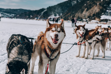 Similar image 22281926