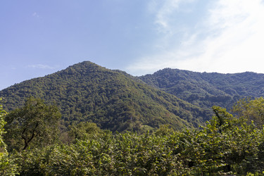 Similar image 22275123