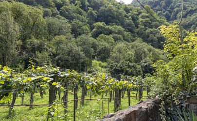 Similar image 22275127