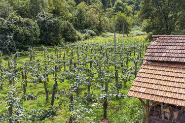 Similar image 22275129