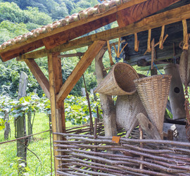 Similar image 22275130