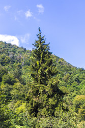 Similar image 22275135