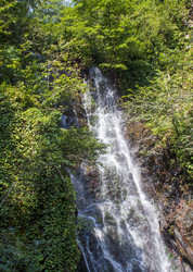 Similar image 22275136