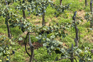 Similar image 22275141