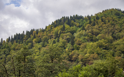 Similar image 22275144