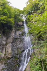 Similar image 22275145