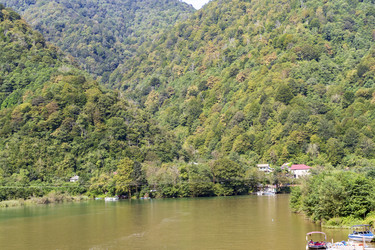 Similar image 22275567