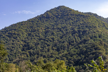 Similar image 22275568