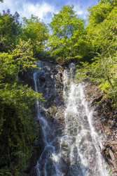 Similar image 22275569