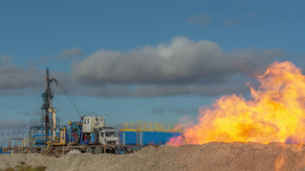 Similar image 22253435