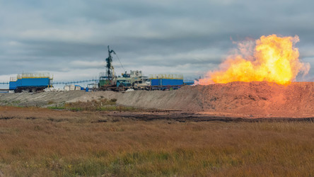 Similar image 22253437