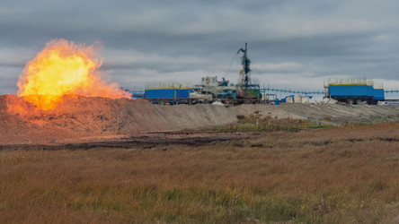 Similar image 22253438