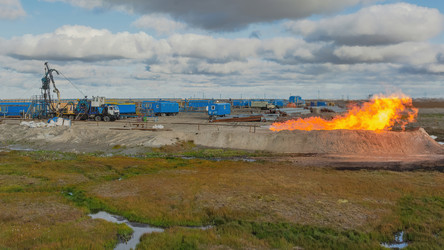 Similar image 22253443