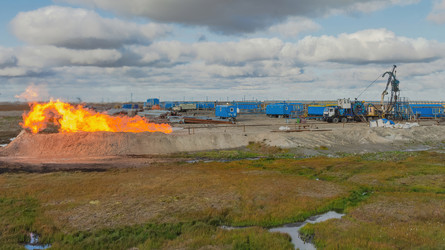 Similar image 22253444