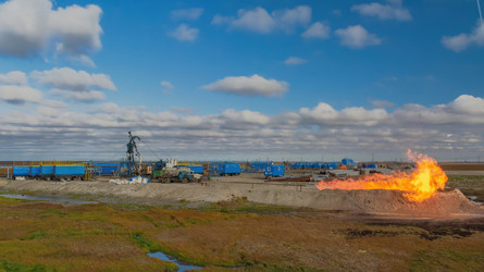 Similar image 22253445