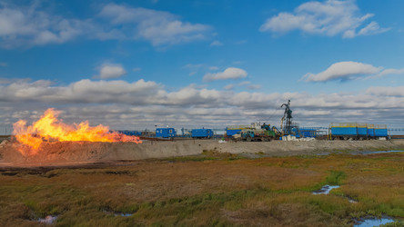 Similar image 22253446