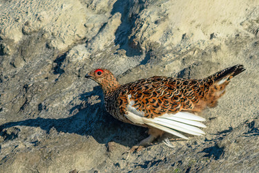 Similar image 22253448