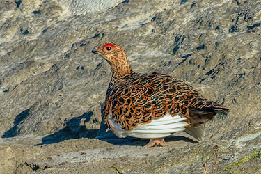 Similar image 22253449