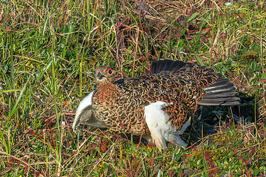 Similar image 22253450