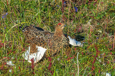 Similar image 22253509