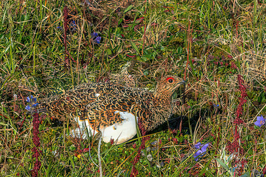 Similar image 22253510