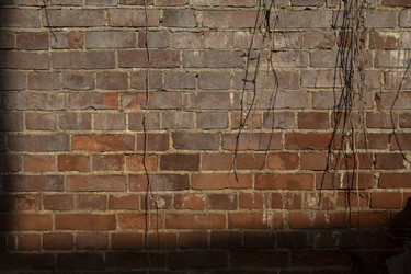 Similar image 22251542