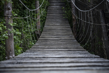 Similar image 22251543