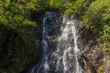 Similar image 22275157