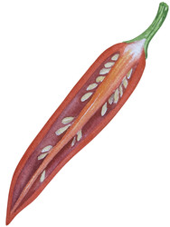 Similar image 22260086