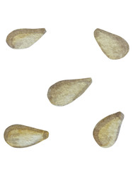 Similar image 22260089