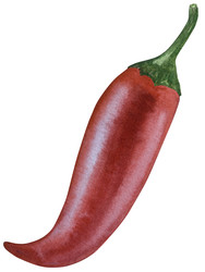 Similar image 22260090