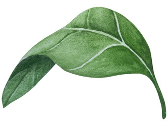 Similar image 22260092