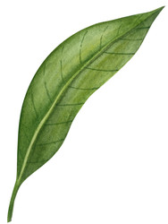 Similar image 22260099