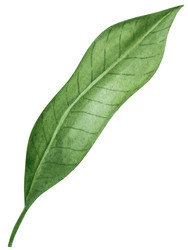 Similar image 22260100