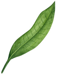 Similar image 22260104