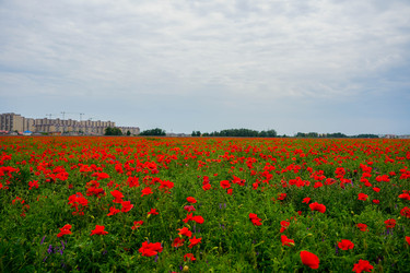 Similar image 22255103