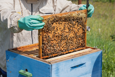 Similar image 22282556