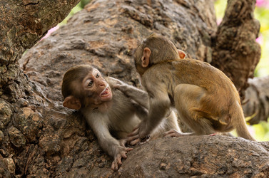 Similar image 22282561