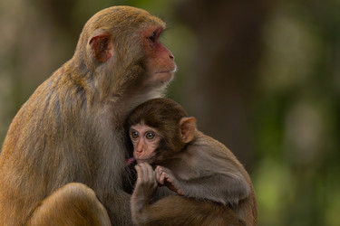 Similar image 22282567