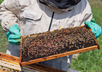 Similar image 22282568