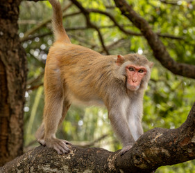 Similar image 22282569