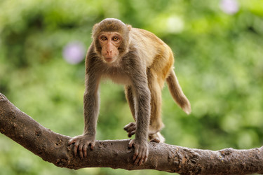 Similar image 22282571