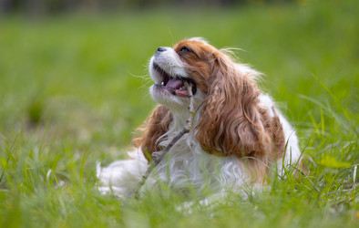 Similar image 22282573