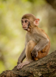 Similar image 22282574