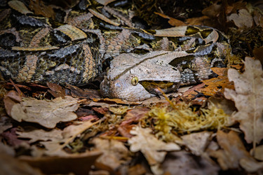 Similar image 22282575