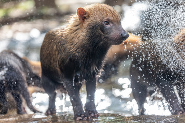 Similar image 22282576