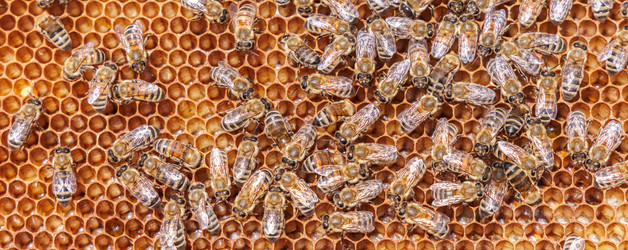 Similar image 22282577