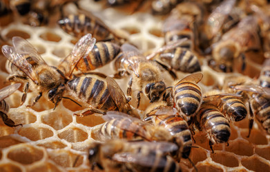 Similar image 22282578