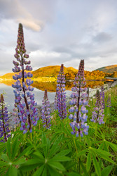 Similar image 22282579