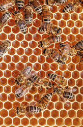 Similar image 22282580